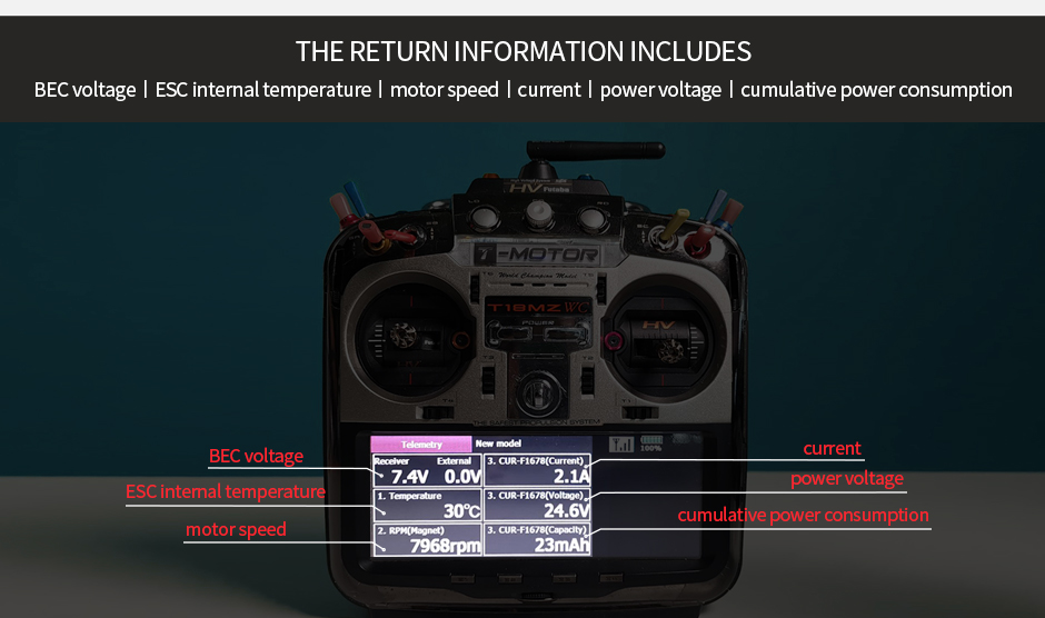 TM-AM-Link-b05.jpg