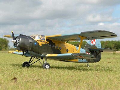 RC Flugzeug Antonov AN-2 / 2425mm