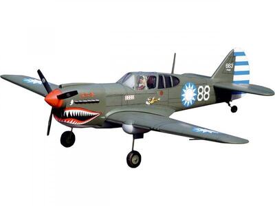 RC Flugzeug Curtiss P-40 / 1570 mm