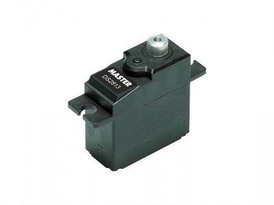 MASTER Servo DS2813