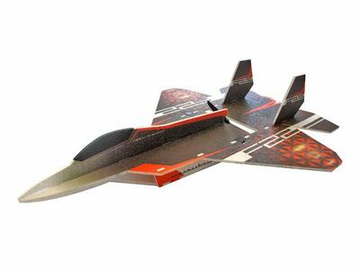 RC Flugzeug F-22 Raptor (Combo) / 730 mm