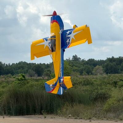 RV-8 35-40cm³ Gas ARF (SW=180cm)