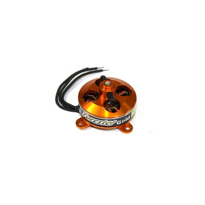 Brushless Motor Torcster Gold A2204/14-1700 19g