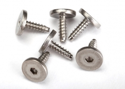 Flachkopfschraube, selbstschneidend 2,6 x 8 mm (Innensechskant) (6)